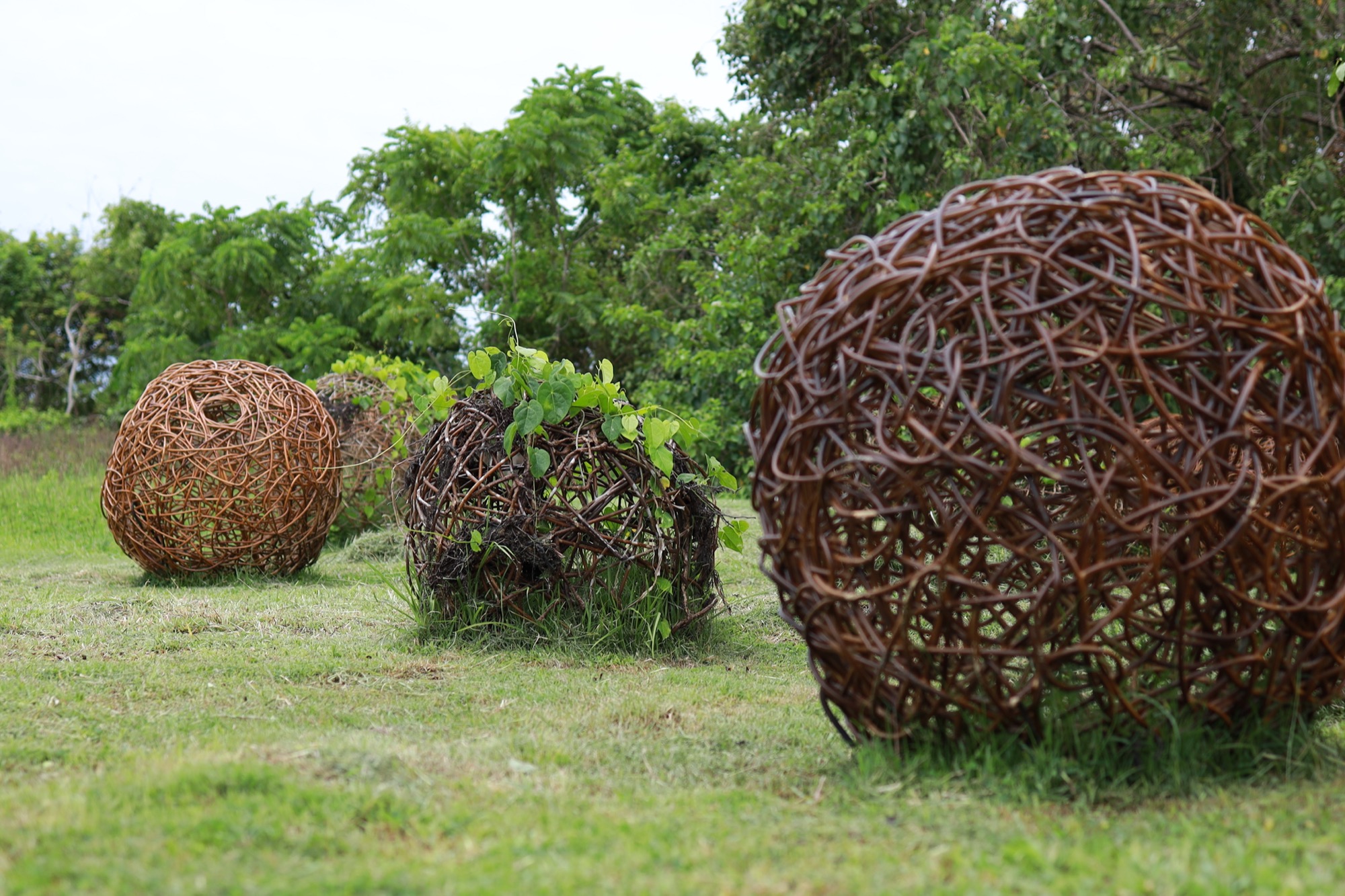 Woven rattan sphere sculptures resting in a green field at Art Village